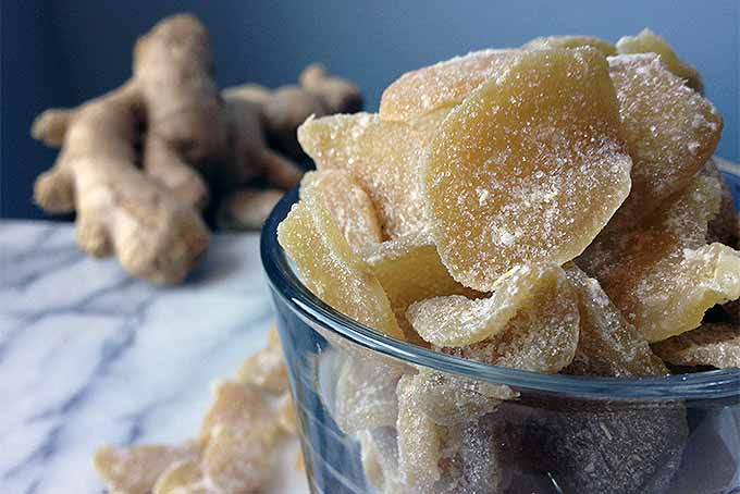 Spice Up Your Meals with Budget-Friendly Ginger Recipes for Flavor and Health Benefits