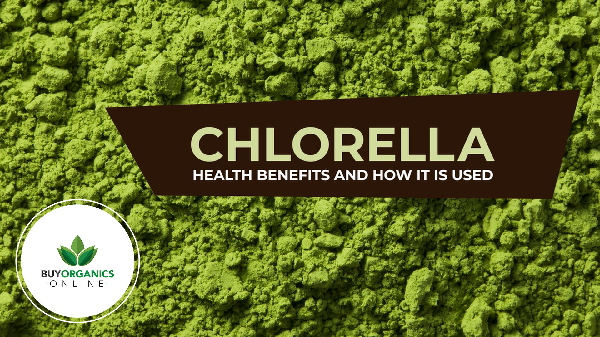 Chlorella: The Green Superfood Revolutionizing Health and Wellness