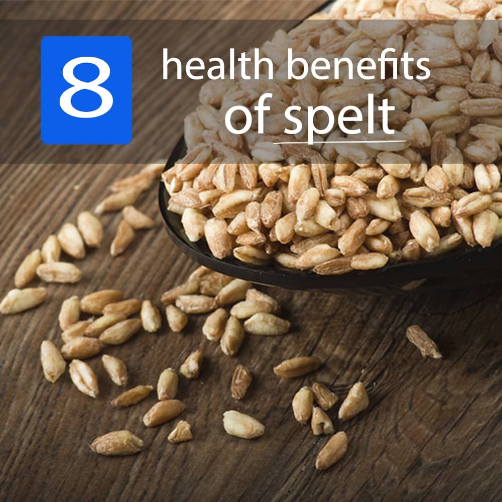 Unveiling the Versatile and Nutritious Power of Spelt: A Must-Try Whole Grain Option