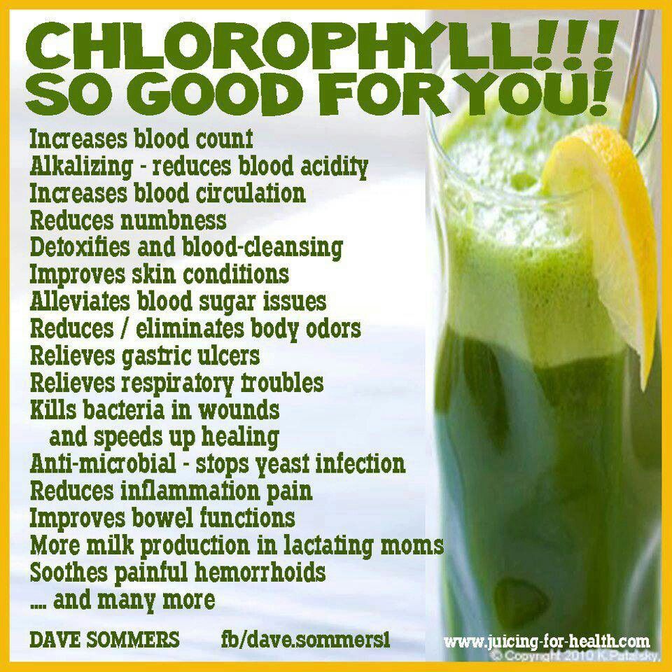 Unveiling the Superfood Power of Wheatgrass: A Nutritional Powerhouse for Health and Wellness