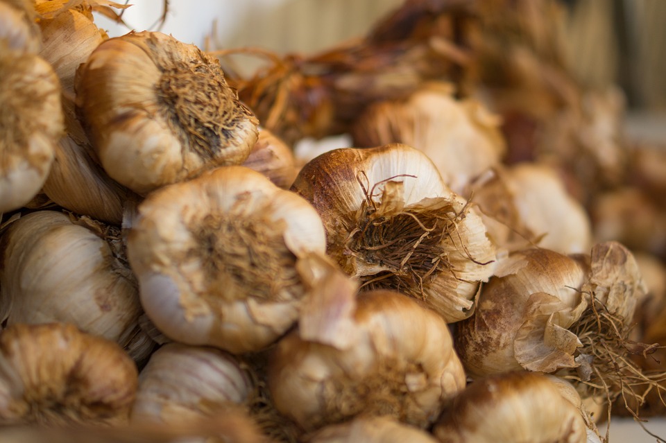 Garlic: The Versatile Ingredient with Endless Possibilities
