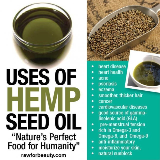 Unveiling the Versatile and Nutrient-Packed World of Hemp Seed Oil
