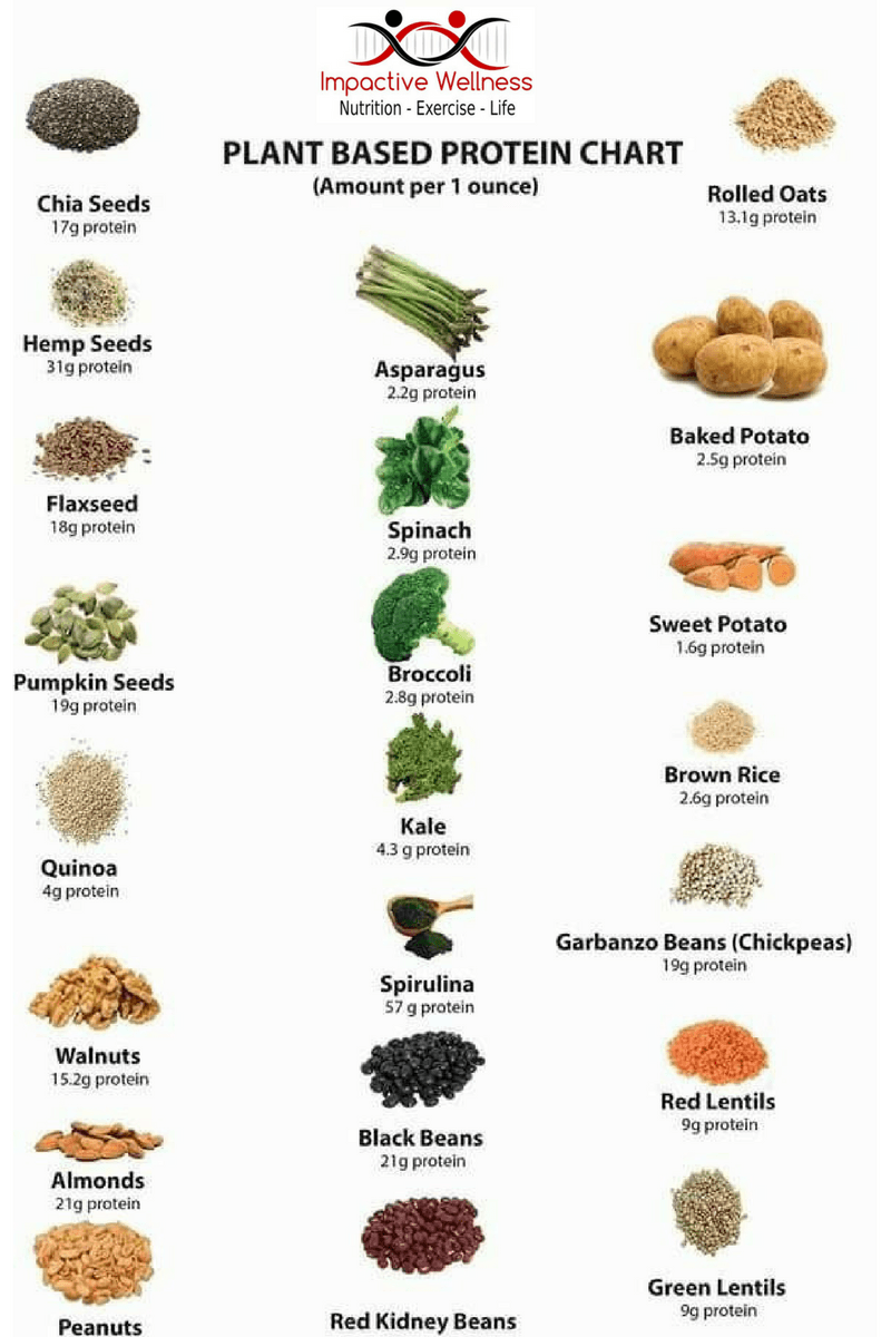 Exploring the World of Plant-Based Protein Sources: A Comprehensive Guide