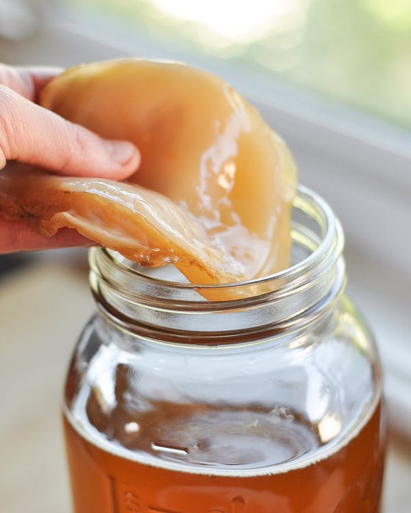Kombucha Craze: Global Evolution of an Ancient Elixir