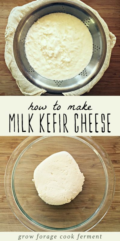 Boost Your Gut Health with Homemade Kefir Cheese