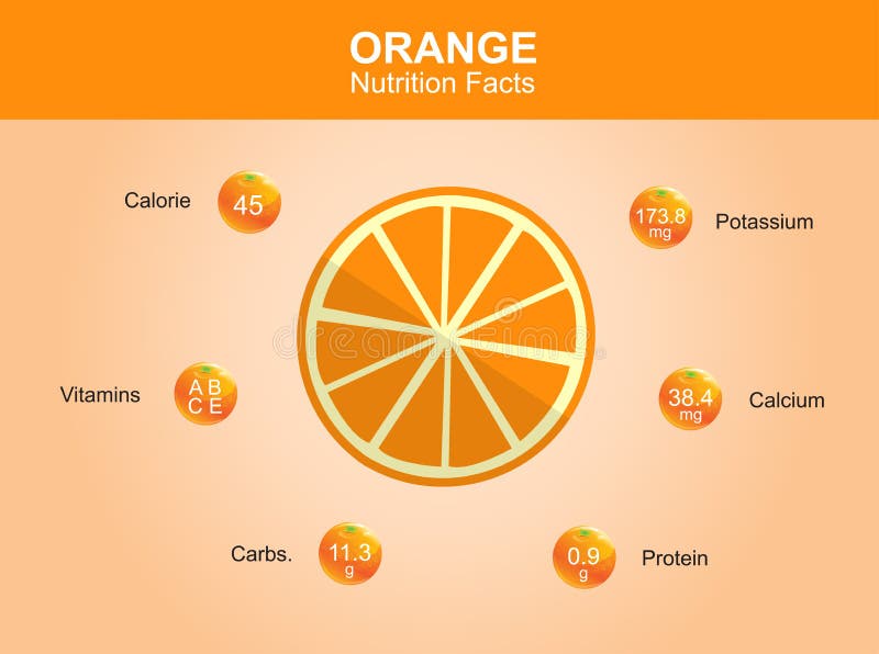The Juicy Truth: Oranges are a Powerhouse of Health Benefits