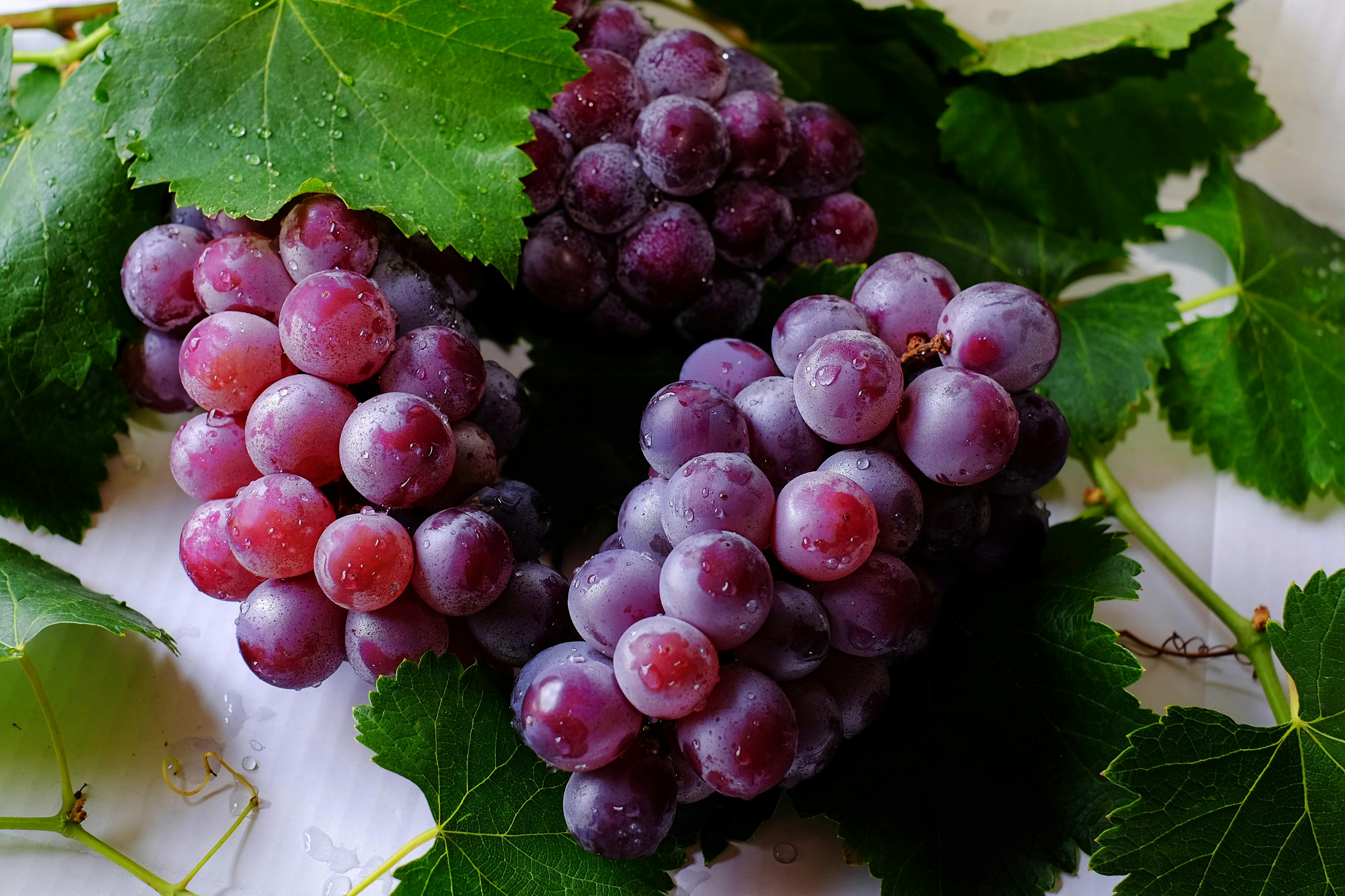Stretch Your Grocery Budget with Delicious and Affordable Grape Dishes