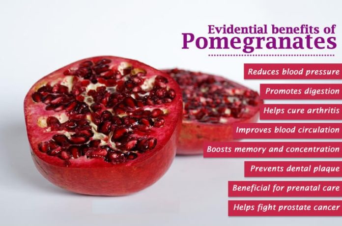 Unveiling the Hidden Health Benefits of Every Part of the Pomegranate Tree