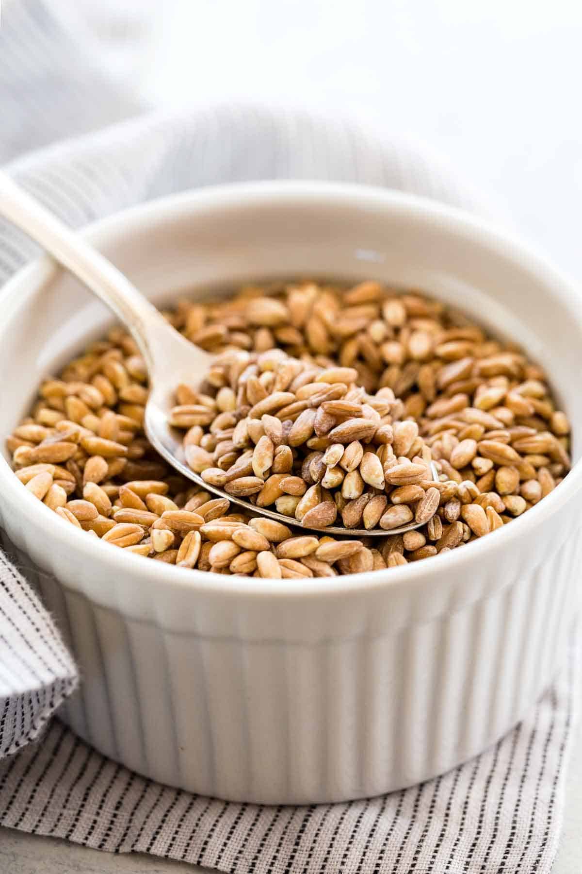 Farro: The Nutritious and Versatile Ancient Grain Taking the Culinary World by Storm