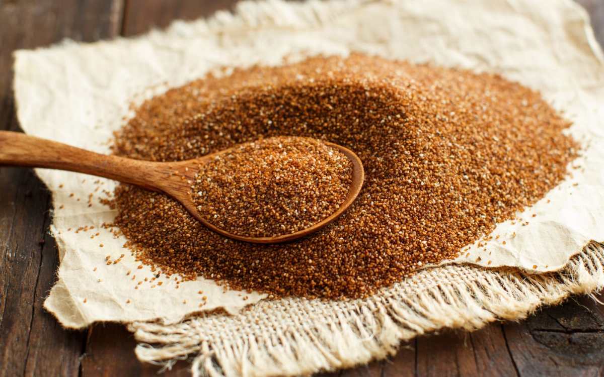Teff: The Tiny Grain Making a Big Impact in Health Food