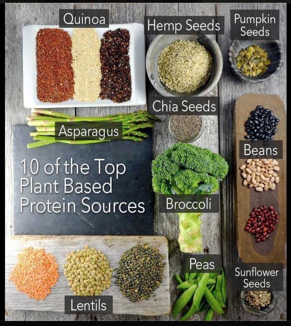 Plant-Based Proteins: Budget-Friendly and Nutritious Options for Cost-Conscious Consumers