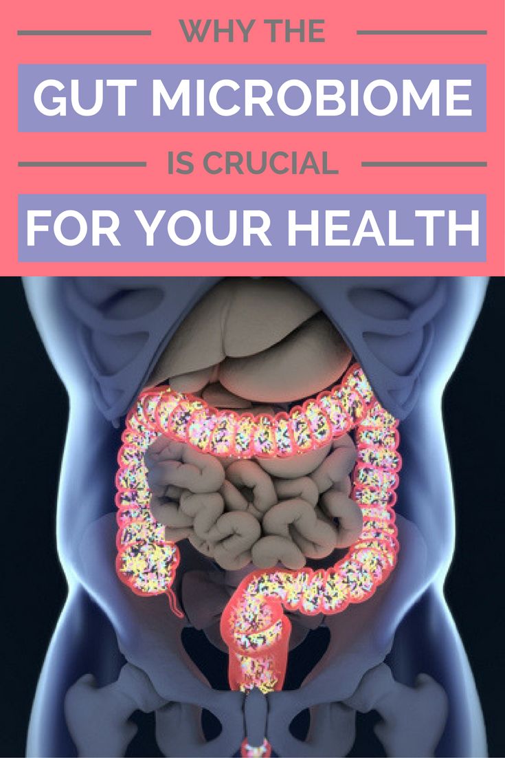 The Economic Impact of a Healthy Gut: How Good Digestion Boosts Well-Being and Wallets