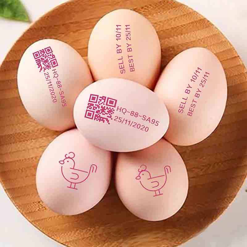 Cracking the Code: Understanding Egg Labeling Regulations for Informed Choices