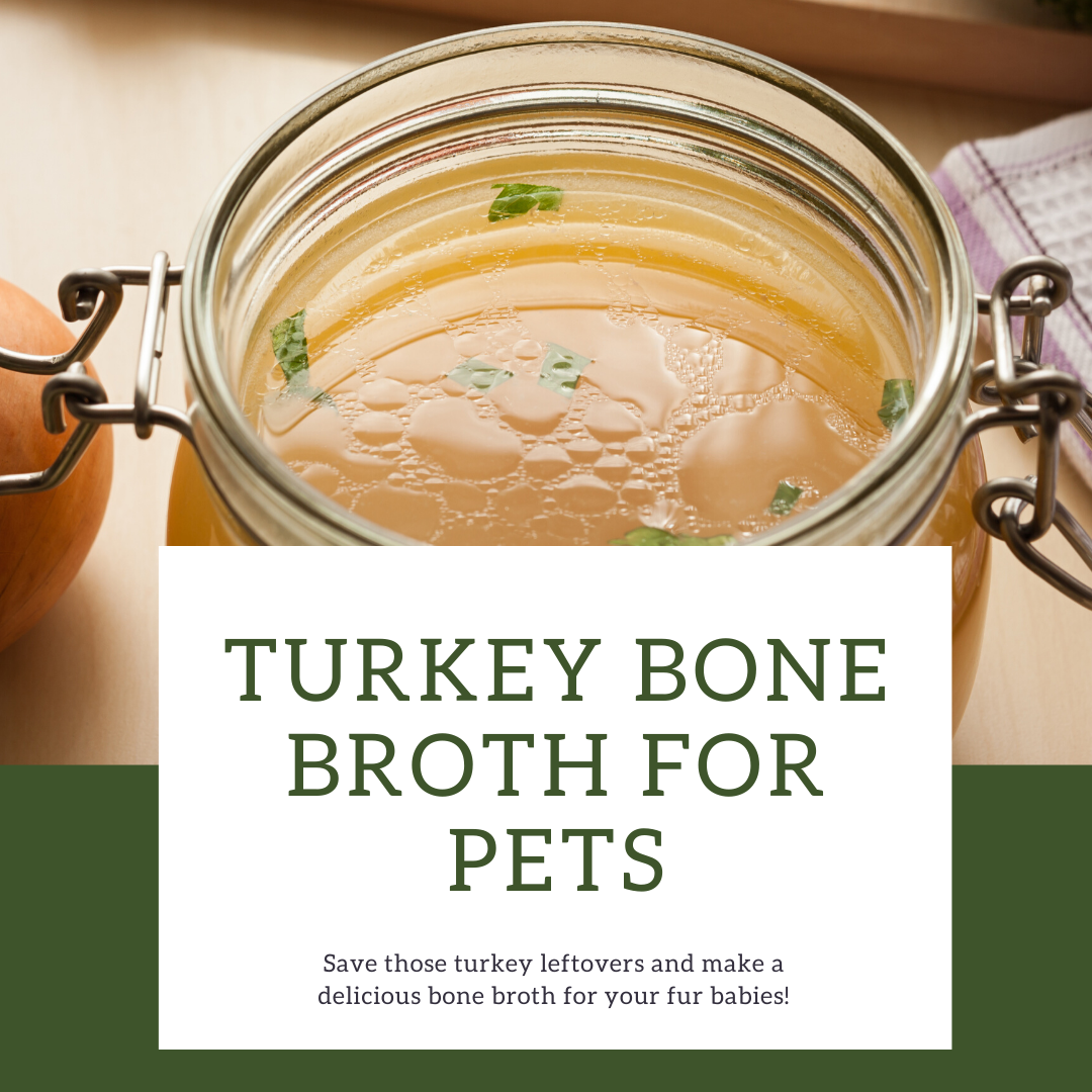 “Bone Broth: The Tasty Nutrient-Packed Treat for Pets and Humans Alike!”