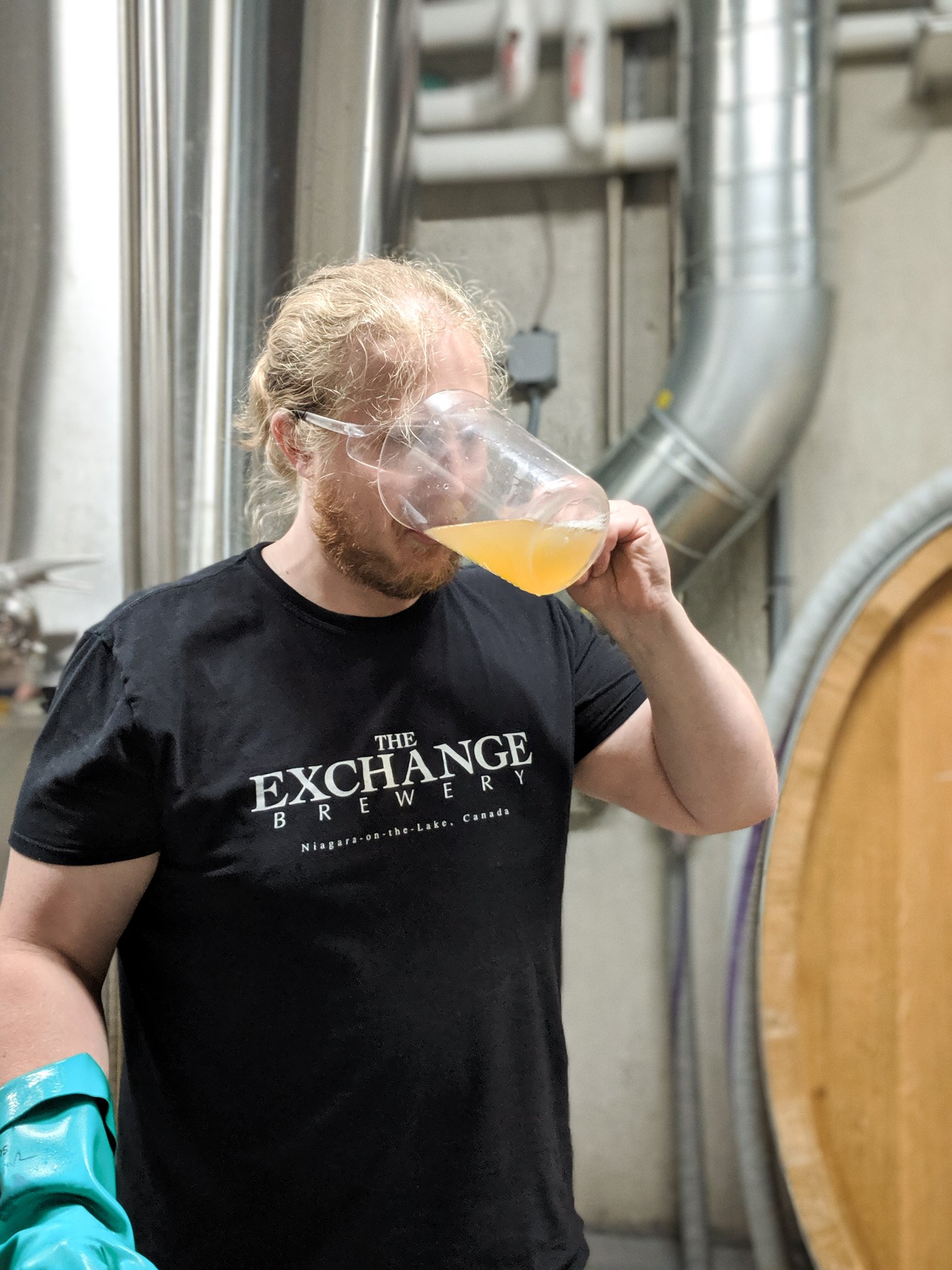 Sip, Swap, Share: Bartering Homemade Kombucha for Goods and Services