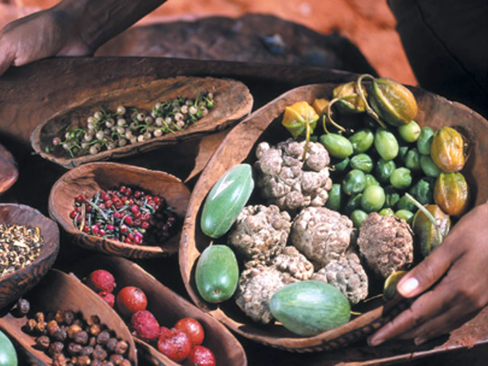 Exploring the Nutrient-Rich World of Indigenous Foods