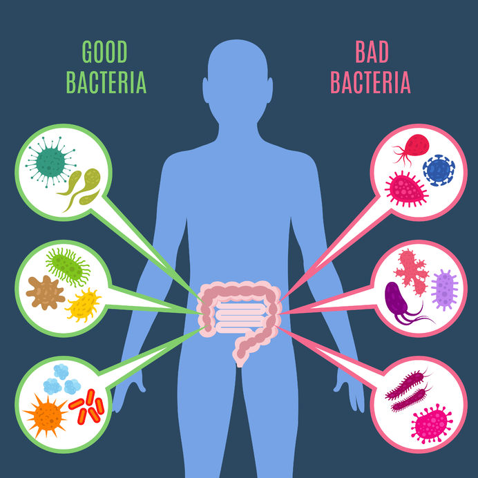 Boost Your Gut Health with These Top Probiotic Strains