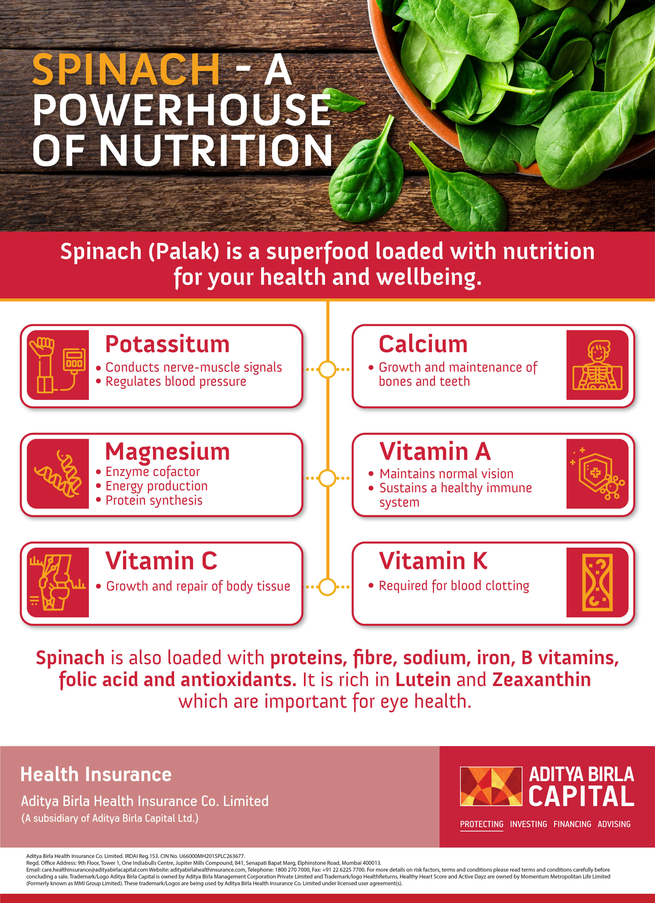 The Nutrient-Packed Powerhouse: Spinach’s Health Benefits Unveiled