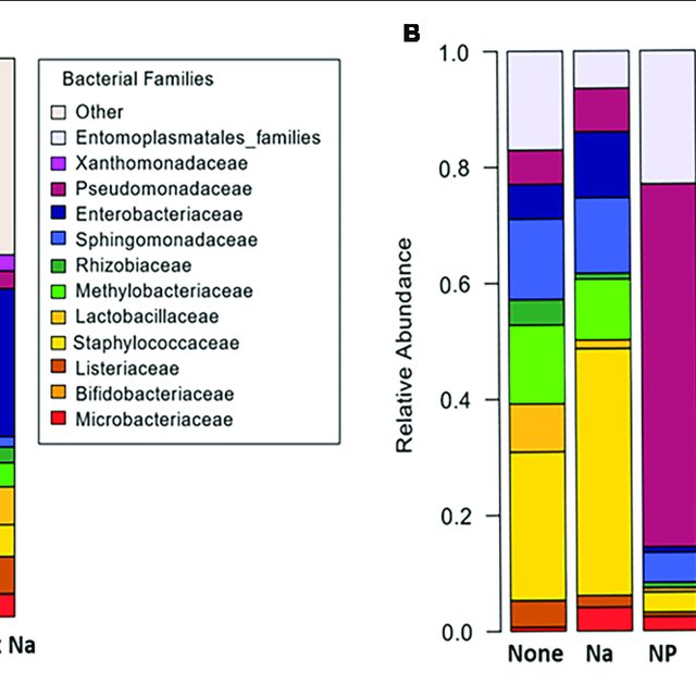 Unveiling the Secrets to Optimal Gut Health: Expert Panel Discussion