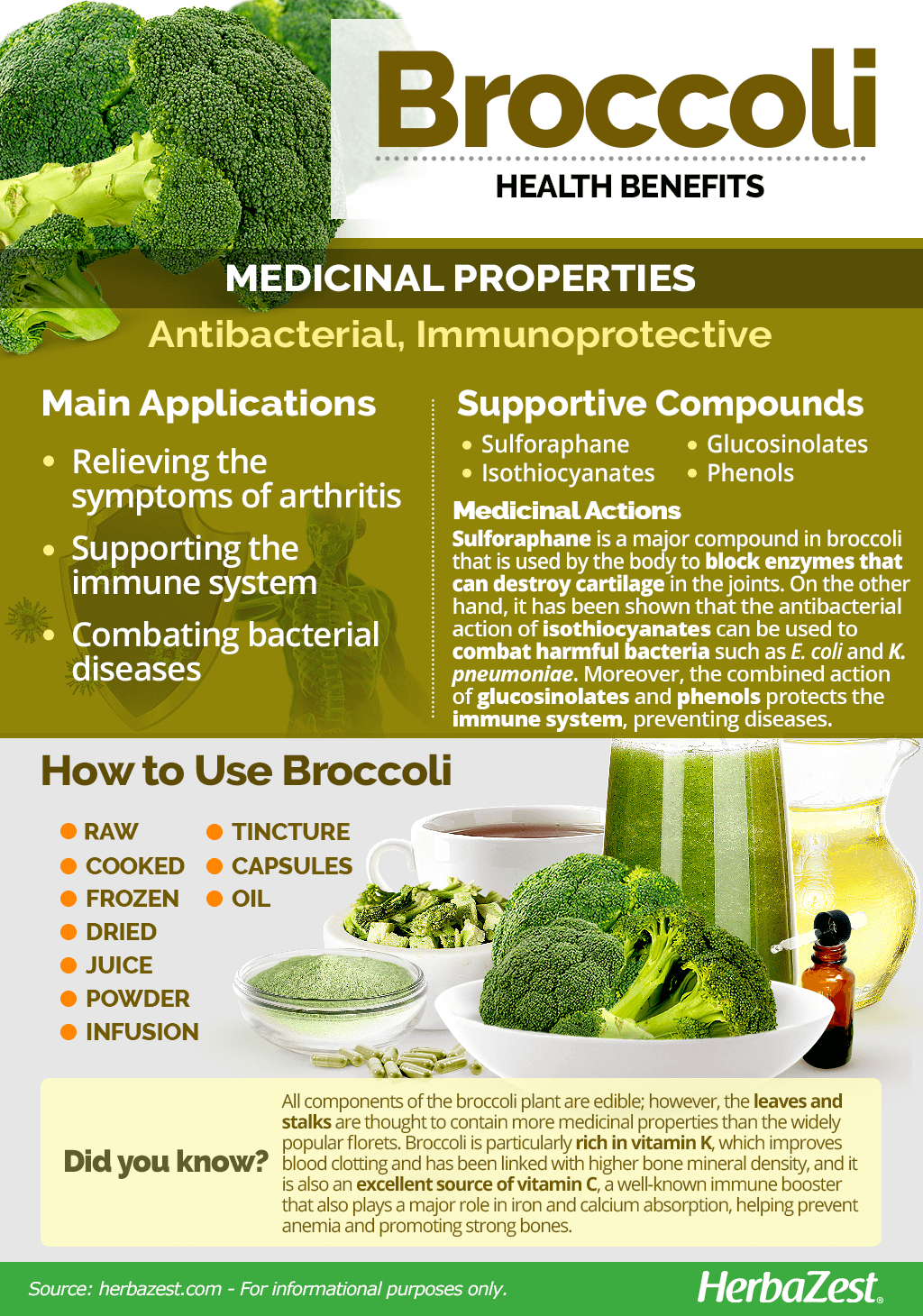 Unleashing the Power of Broccoli: Recipes, Health Benefits, and More!