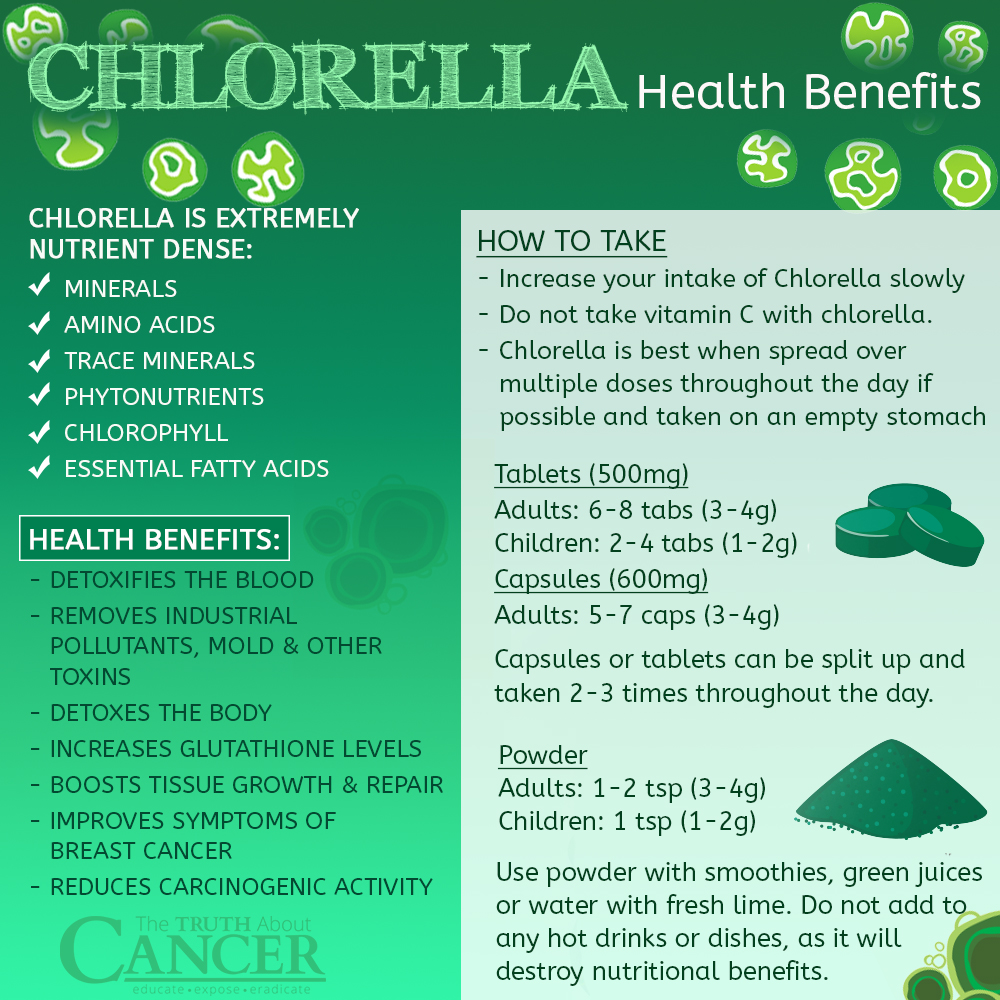 Chlorella: The Superfood Stealing the Spotlight