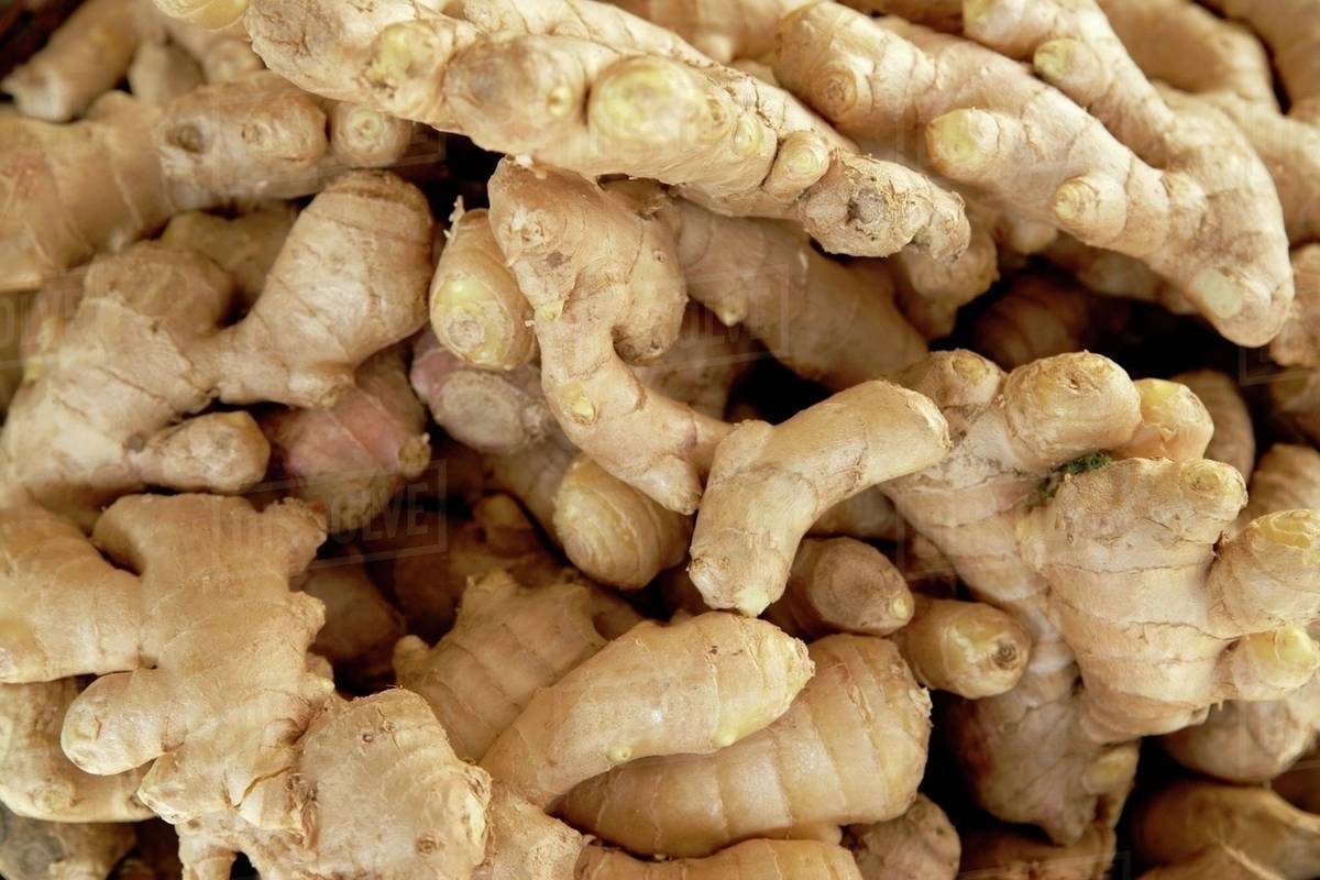 Unlocking the Power of Ginger: A Spicy Secret to Holistic Healing