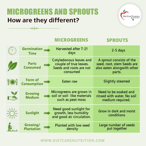 Sprouting and Microgreens: Tiny Greens, Big Nutritional Benefits