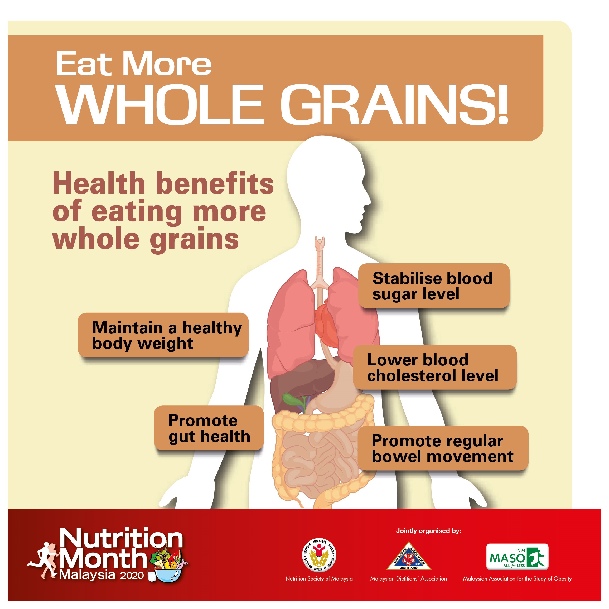 The Power of Whole Grains: A Key to Better Health