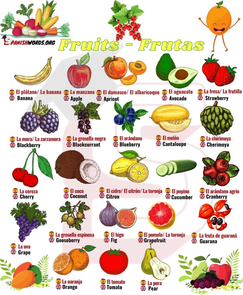 Spain’s Vibrant Cuisine: A Healthy and Delicious Culinary Journey