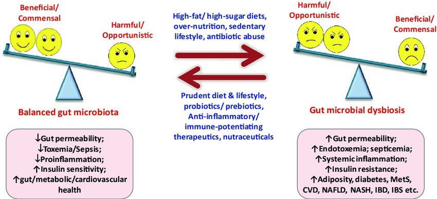 Unlocking the Power of Fecal Microbiota Transplant: A Game-Changer in Gut Health
