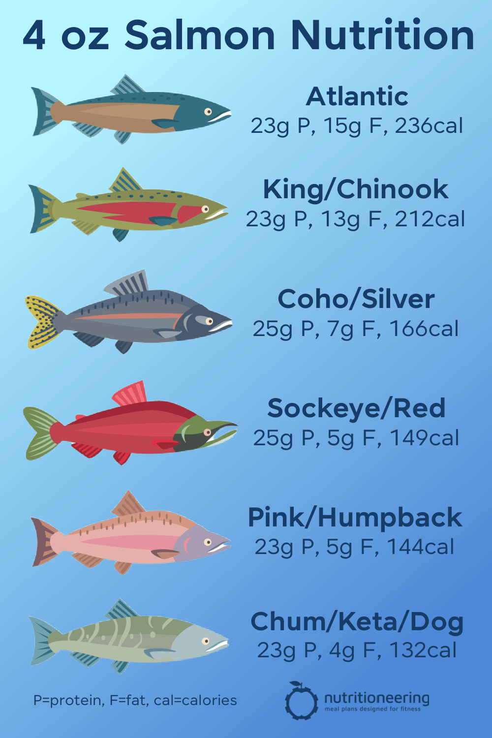 Delicious and Nutritious: Dive into the World of Salmon Fillets!