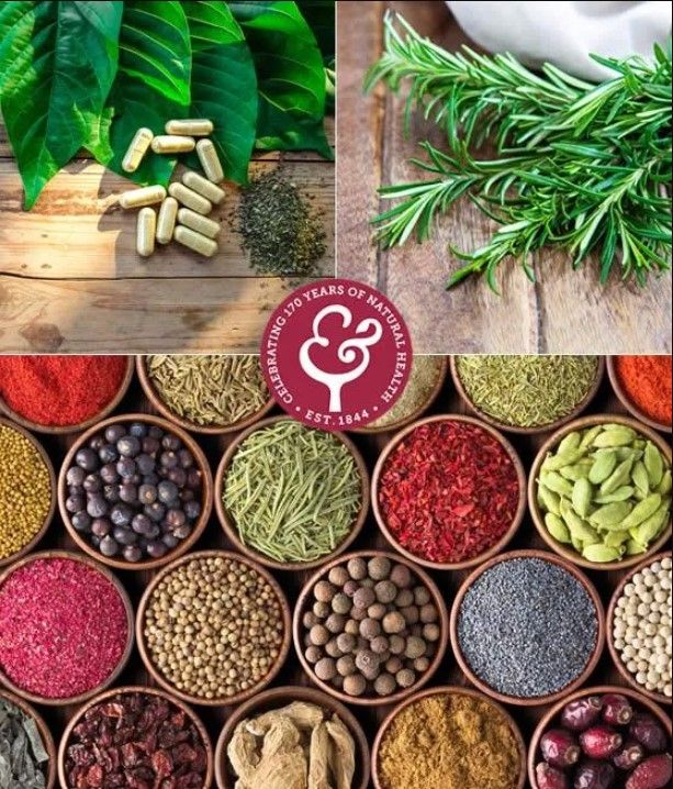 Exploring the Vibrant Tapestry of African Cuisine: A Flavorful Journey through History and Culture