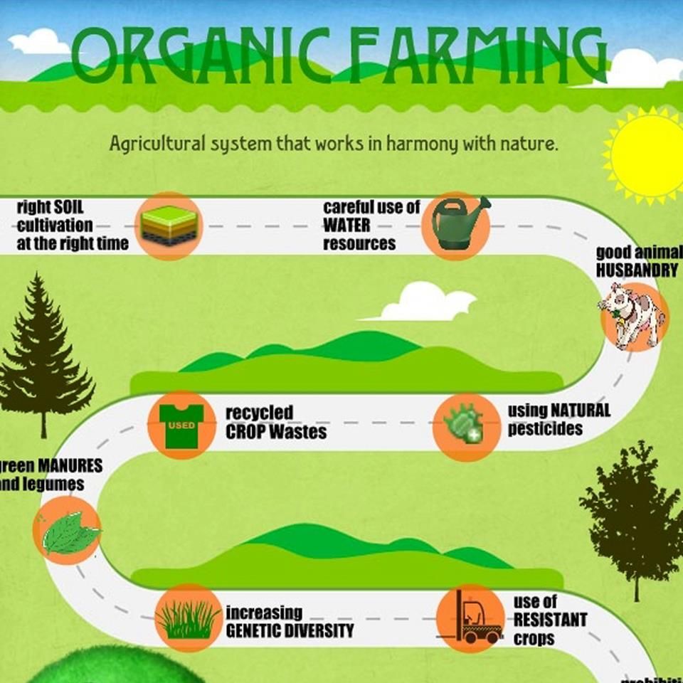 “Grow Green: 10 Essential Tips for Successful Organic Gardening”
