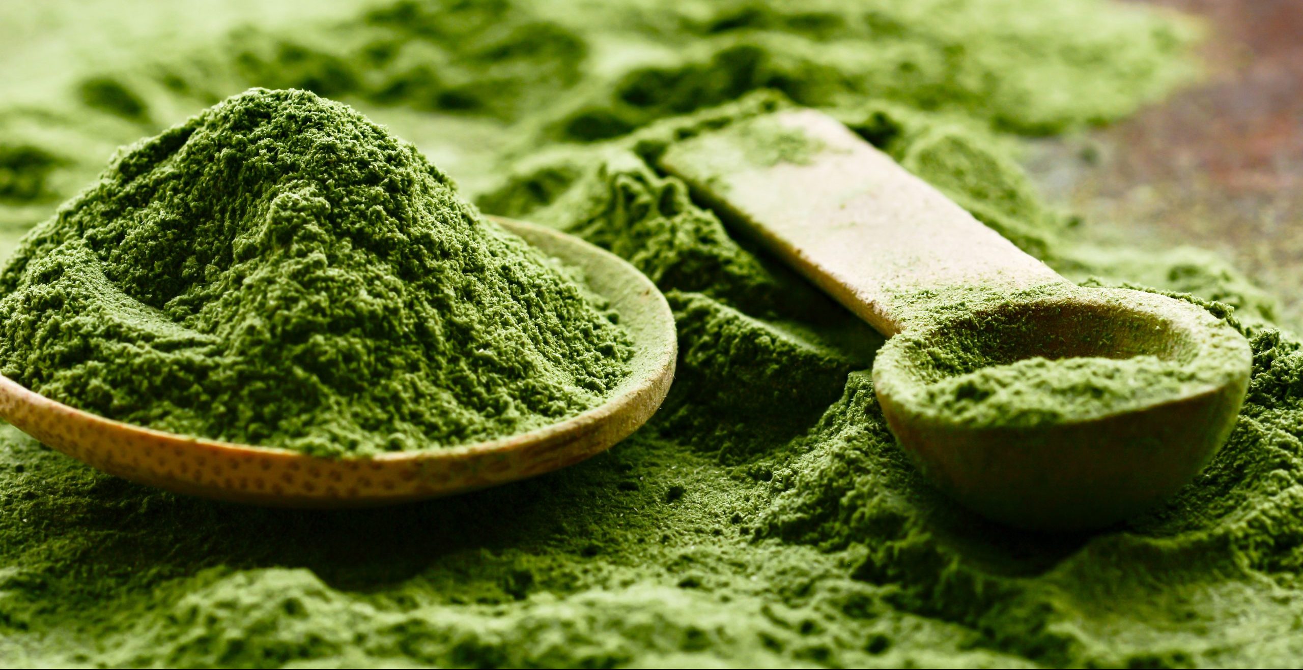 “Budget-Friendly Ways to Enjoy Matcha Daily Without Breaking the Bank”