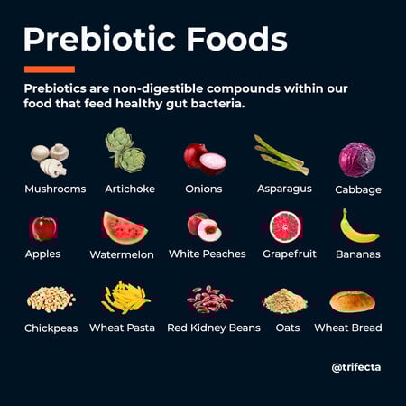 Gut Health Galore: Probiotics, Fermented Foods, and More!