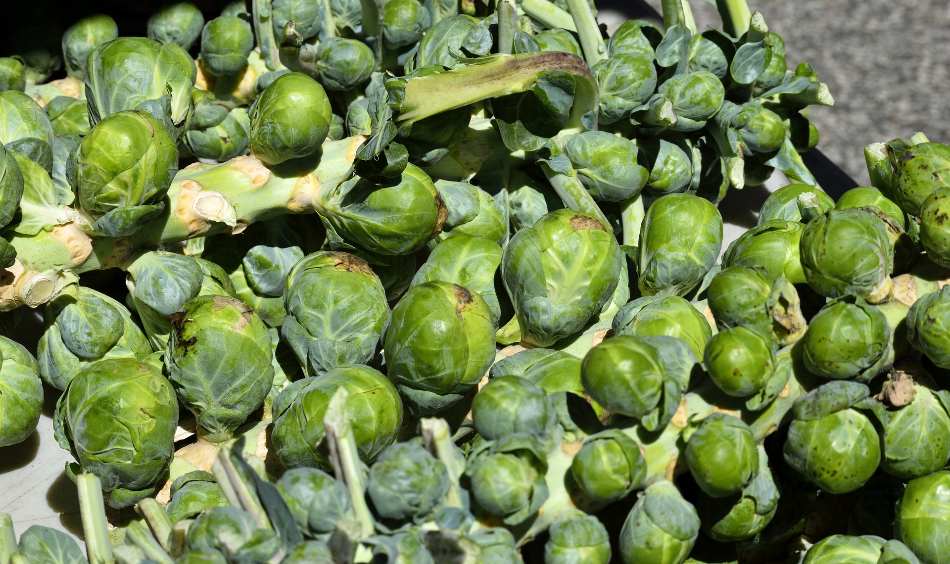 Local vs. Imported Brussels Sprouts: Unpacking the Price Differences