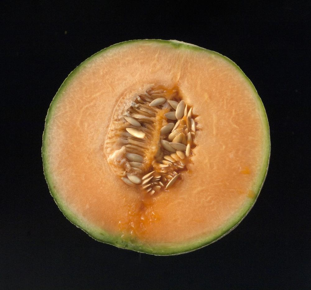 Exploring the Global Love for Cantaloupes: From Cultivation to Cuisine