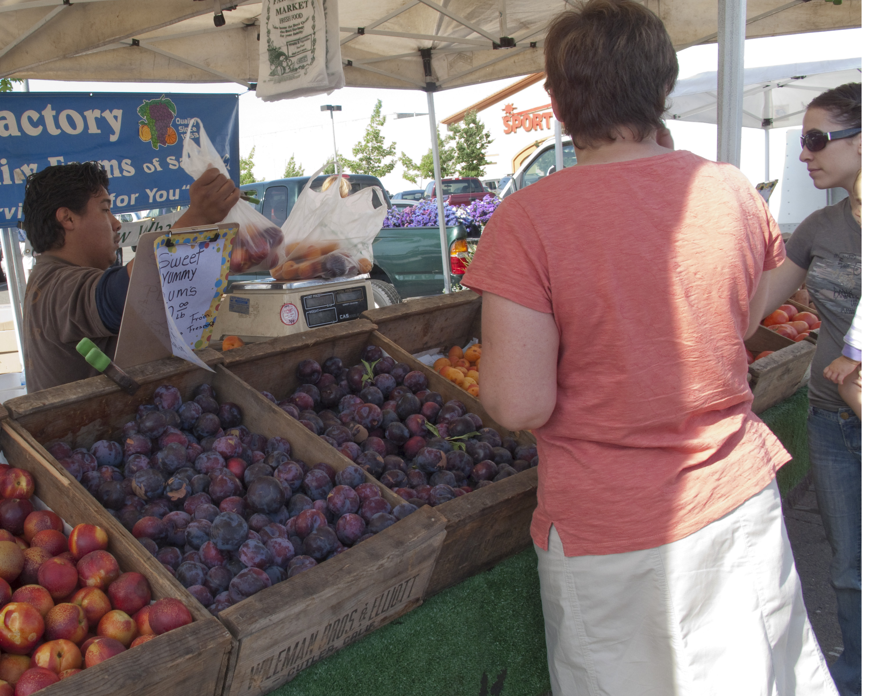 California’s Culinary Delights: A Healthy Food Haven Beyond the Beaches