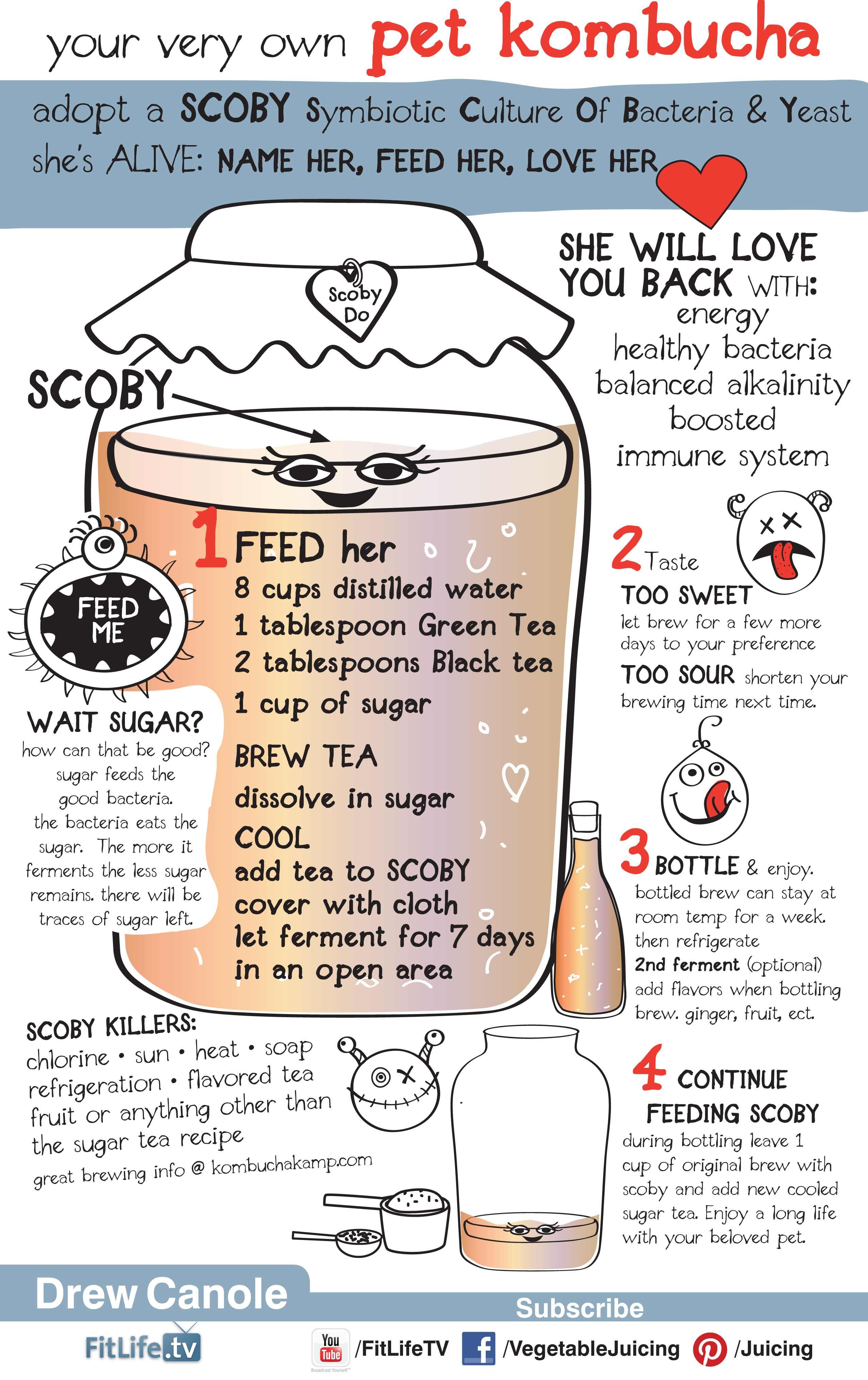 Master the Art of Kombucha Brewing: Tips for Homemade Success