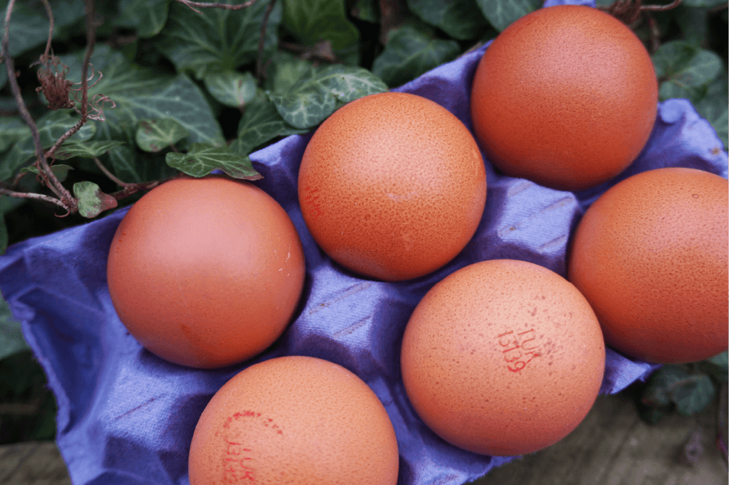 Unlocking the Benefits of Free-Range Eggs: Health, Ethics, and Flavor Galore