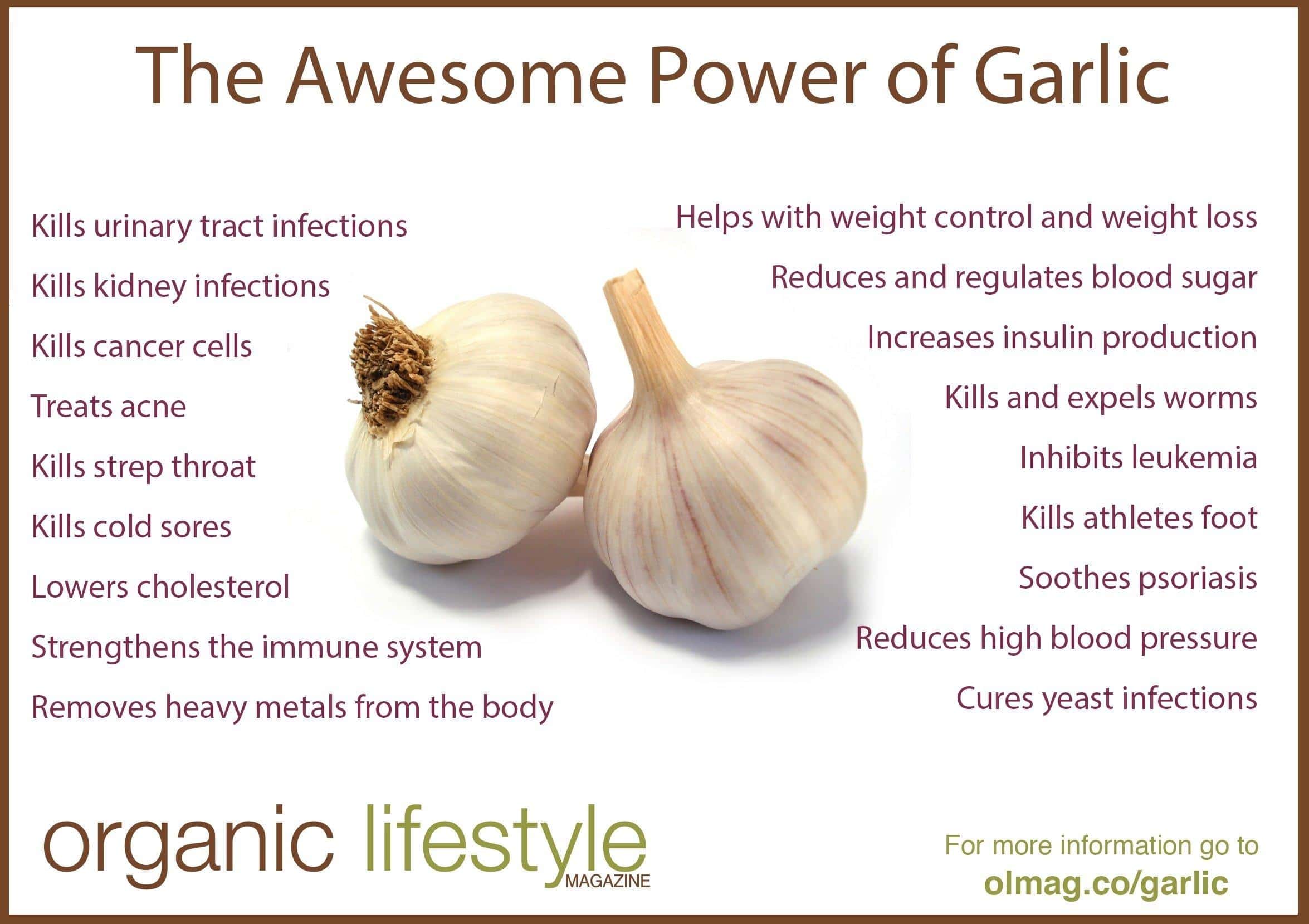 Garlic: The Flavorful Superfood with Immune-Boosting Powers