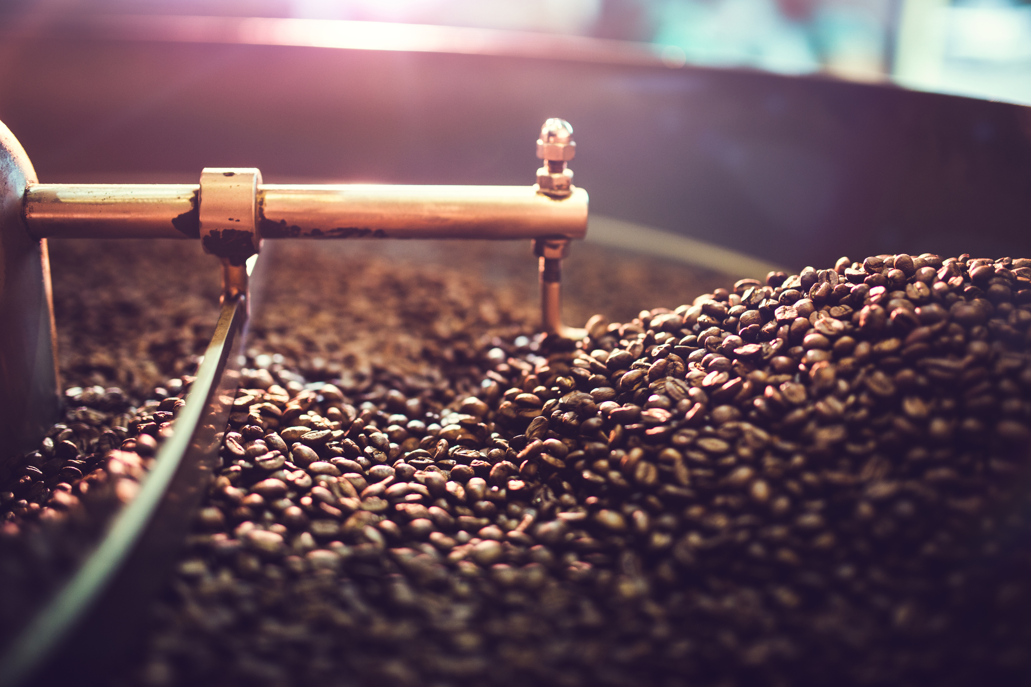 “Embrace the Freshness: Locally Roasted Coffee Beans Brew Up a Storm in Popularity!”