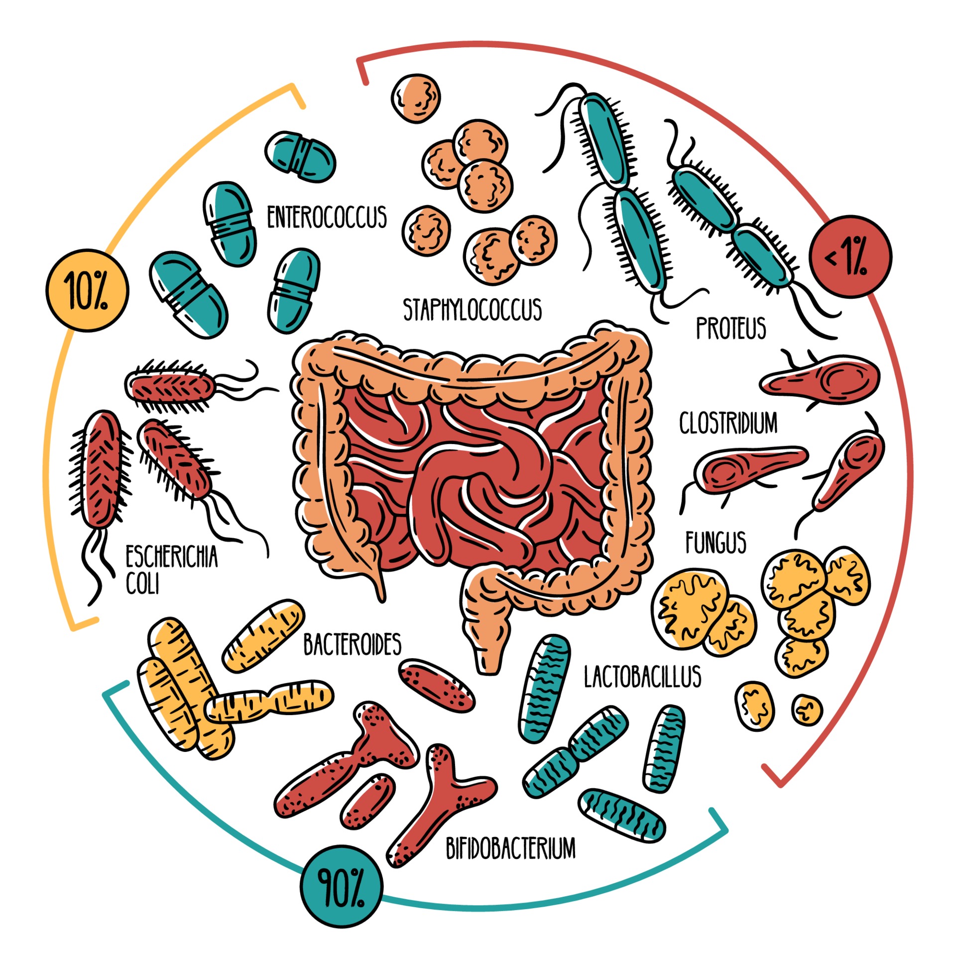 Unlocking the Secrets of the Gut Microbiome: Key Factors for Health & Well-Being