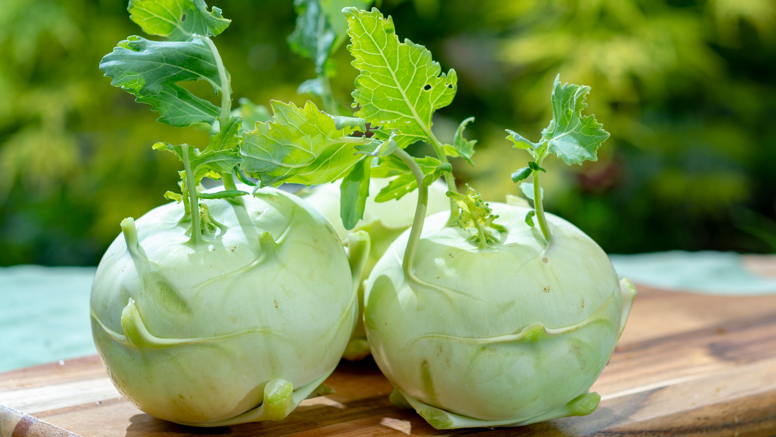Unveiling the Versatile and Nutritious Kohlrabi: A Must-Try Vegetable for Your Diet