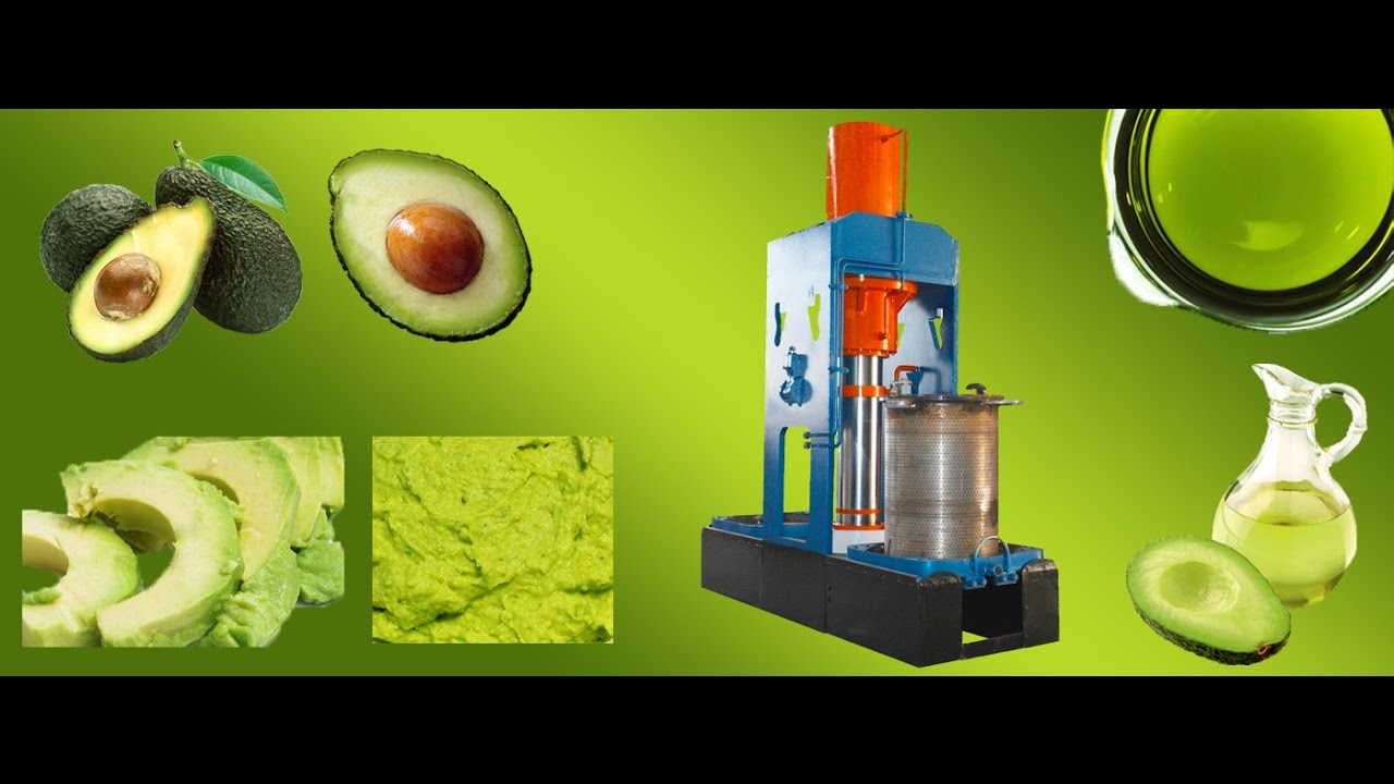 The Economics Behind the Rise of Avocado Oil Production
