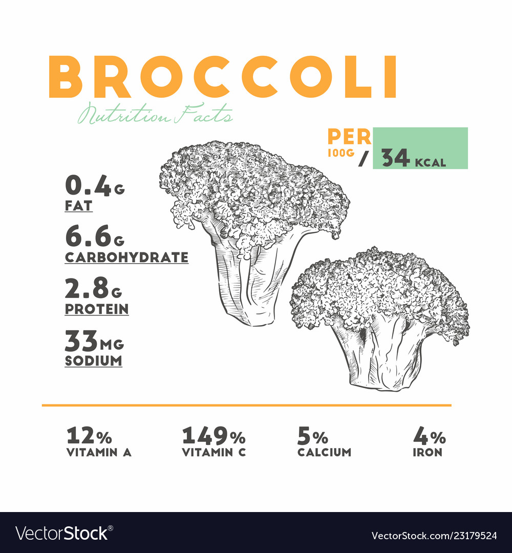 Broccoli: The Green Superfood with Centuries of Health Benefits
