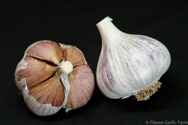 Unveiling the Flavorful and Nutritious World of Italian Garlic