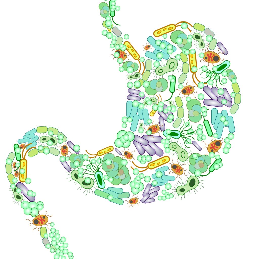 Unlocking the Secrets of the Gut-Brain Axis: How Your Microbiome Impacts Health and Happiness