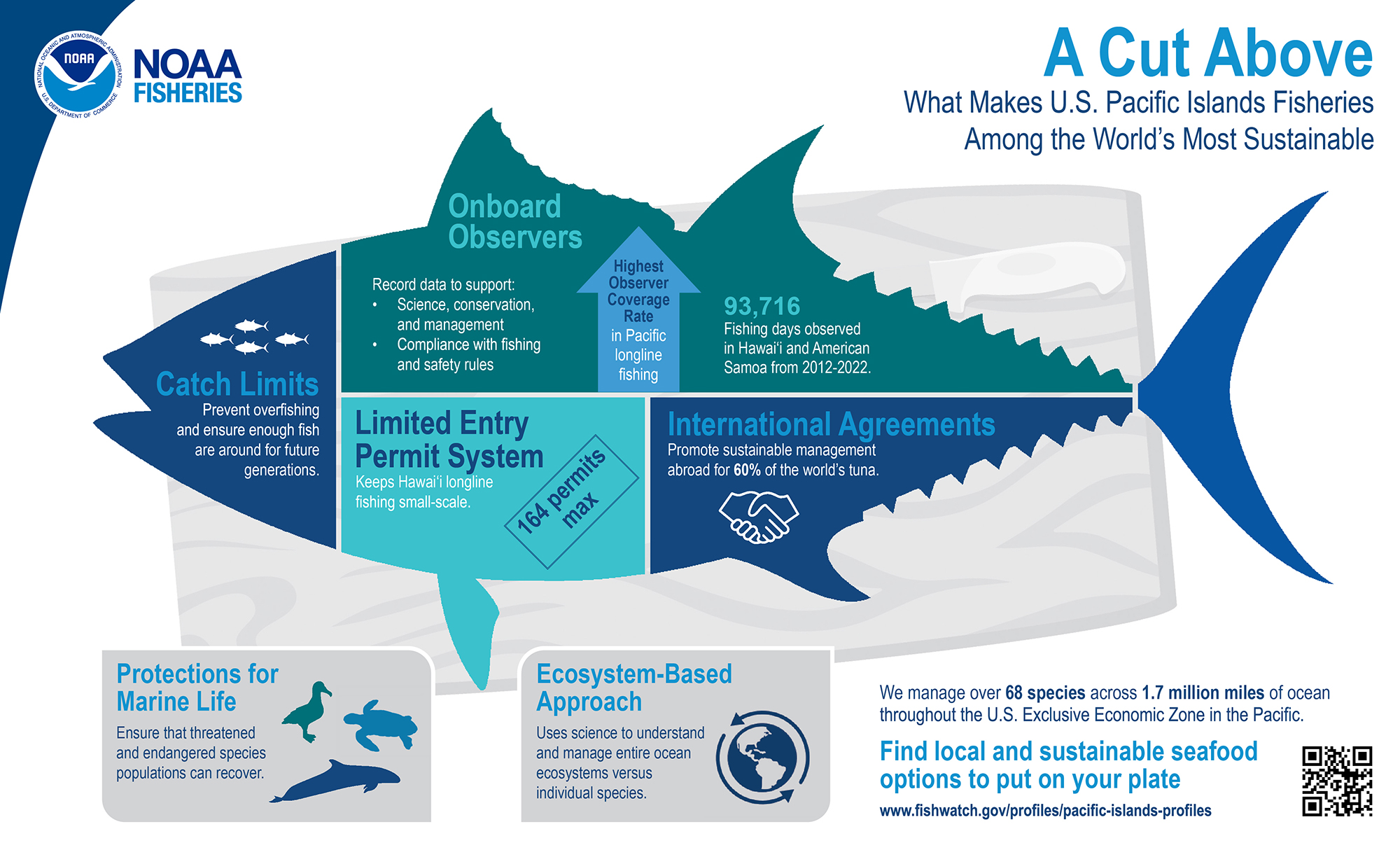 Preserving Our Oceans: The Key to Sustainable Fishing and Seafood for Future Generations