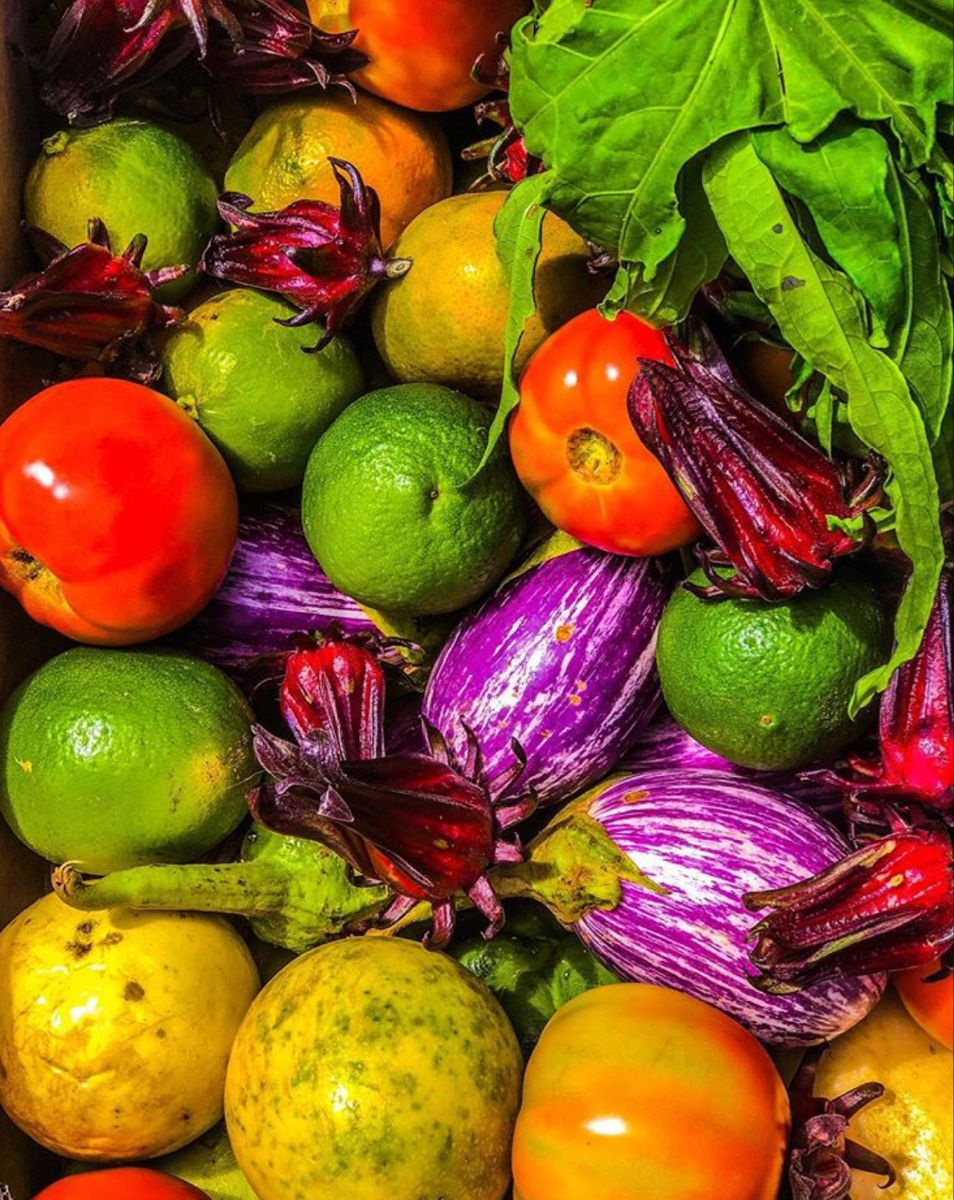 Exploring the Rich and Flavorful World of Caribbean Cuisine